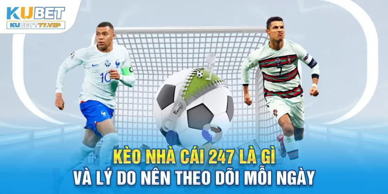 Kèo Nhà Cái 247 - Cập Nhật Tỷ Lệ Kèo Nhanh, Chuẩn Và Uy Tín Lý do nên theo dõi kèo nhà cái 247 mỗi ngày